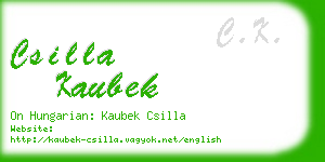 csilla kaubek business card